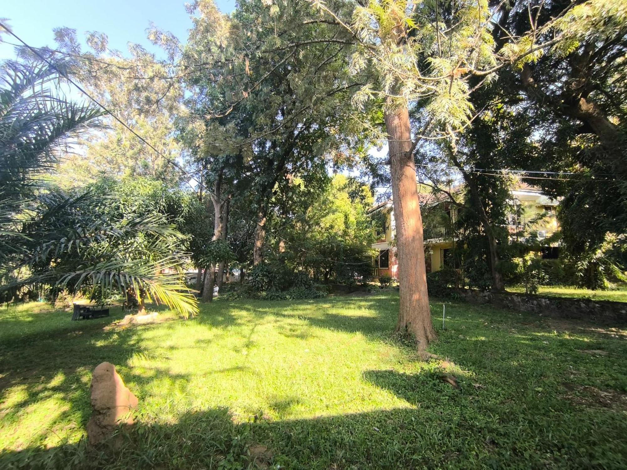 Olivia Guesthouse Mwanza Exterior photo