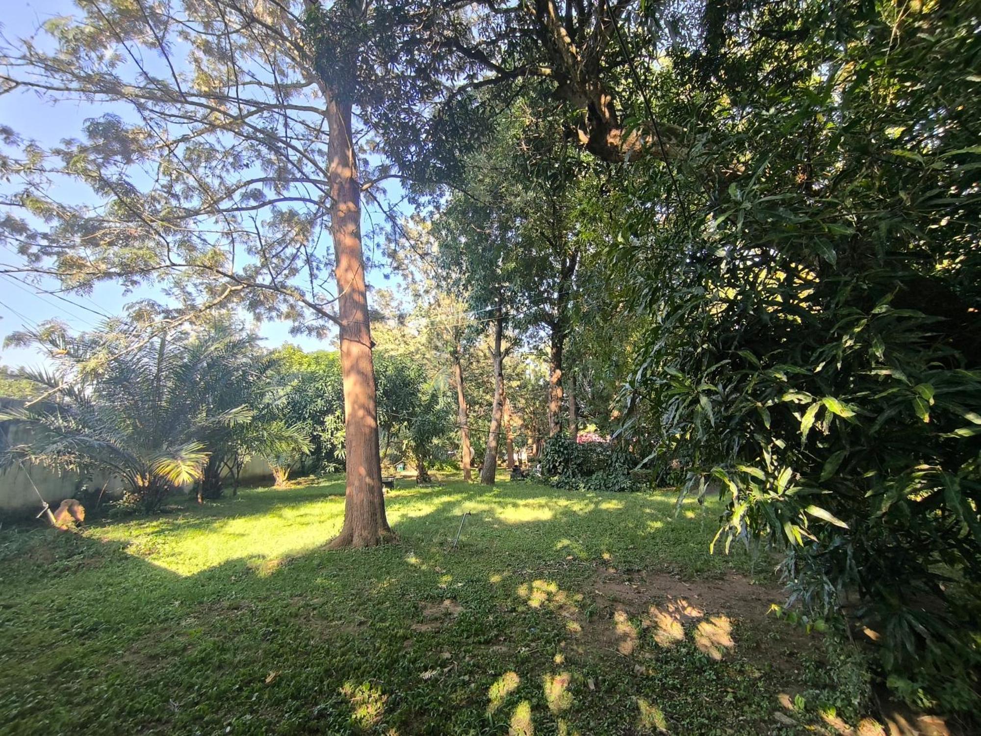 Olivia Guesthouse Mwanza Exterior photo
