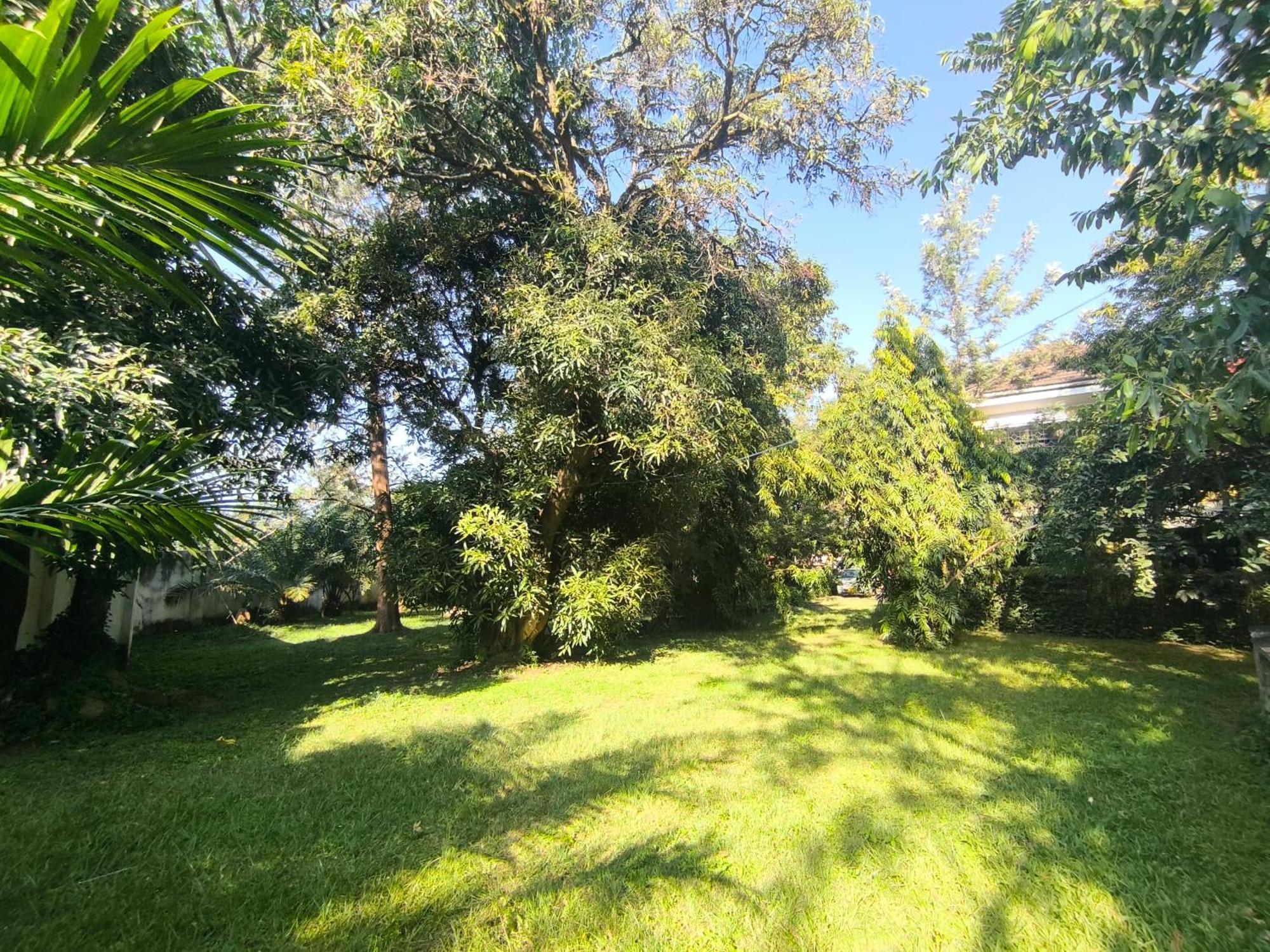 Olivia Guesthouse Mwanza Exterior photo